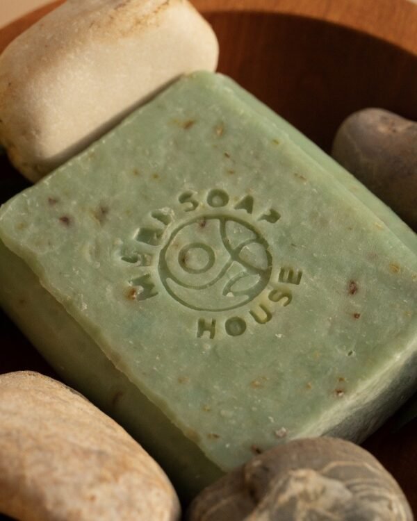 2025/04/1000099034.jpg Savon aloé vera