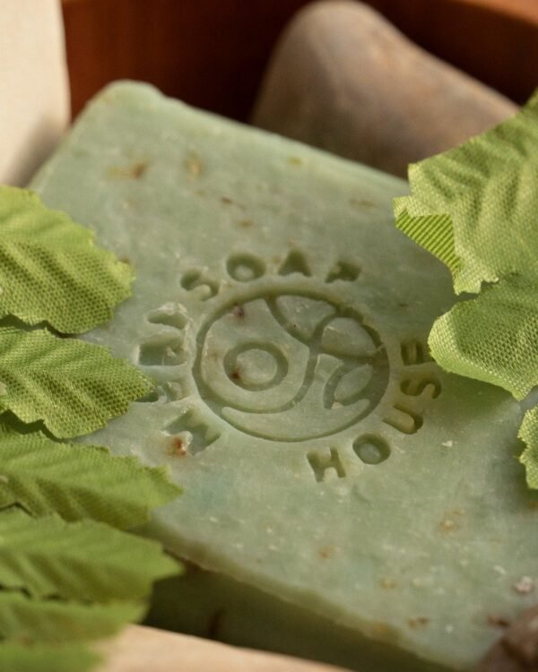 2025/04/1000099038.jpg Savon aloé vera