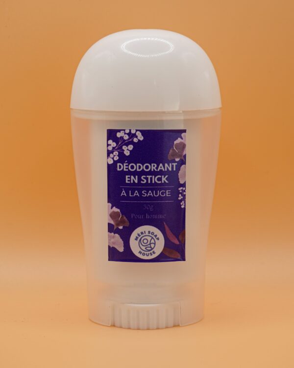 Déo stick pour homme 50g