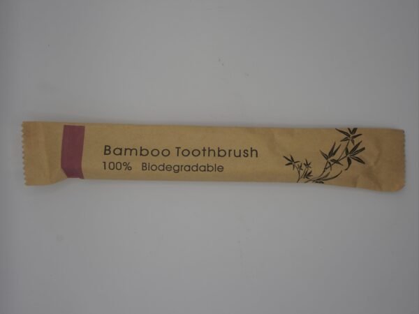 brosse à dent en bamboo