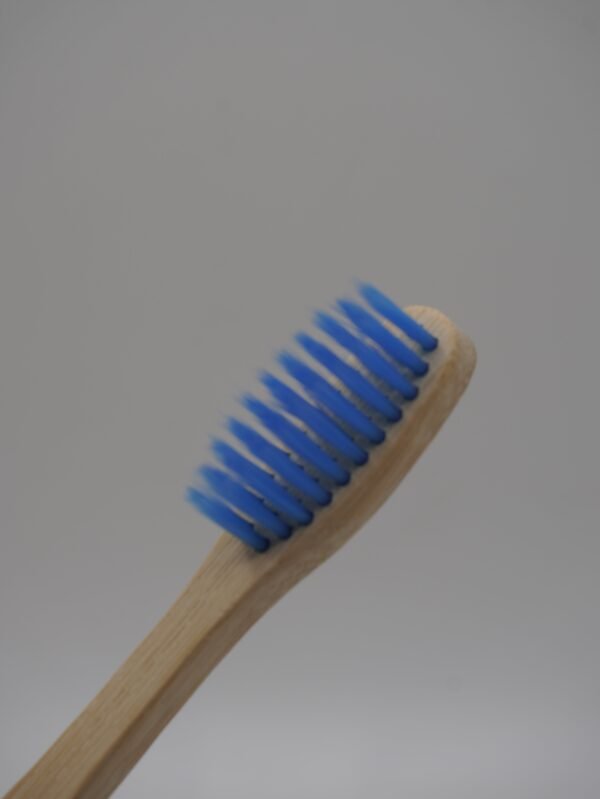 brosse à dent en bamboo
